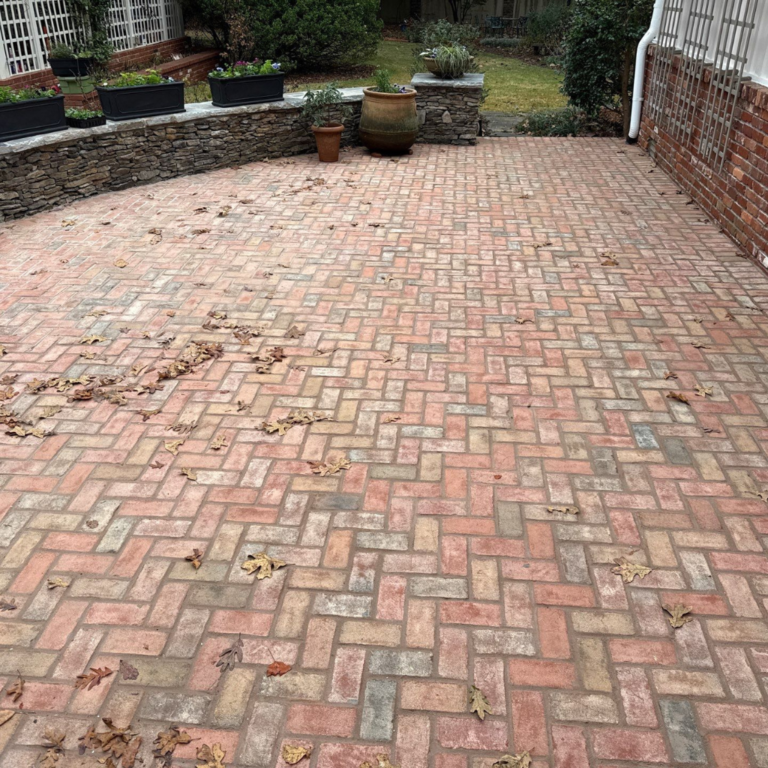 Diseño sin título (26)