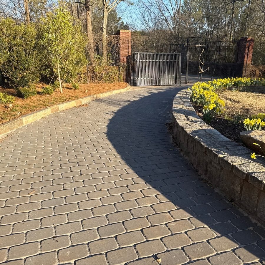 down-net_http20260131-37621-8btpvt (2)